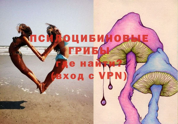 тгк Алексин